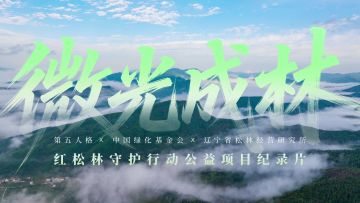 《微光成林》红松林守护行动公益项目纪录片