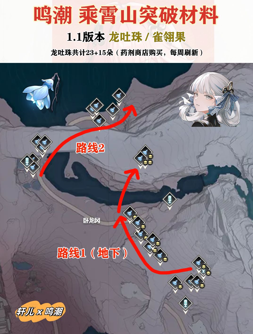 【鸣潮】龙吐珠/雀翎果采集路线截图