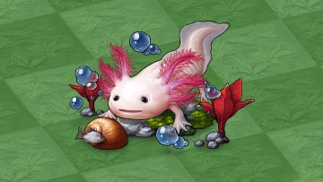 奇迹介绍--第五十五、五十六、五十七、五十八、五十九.大奇迹