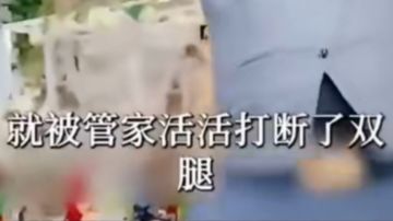 这个玩家只是因为查看了傀儡师的攻略。。。