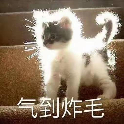 晚上好呀截图
