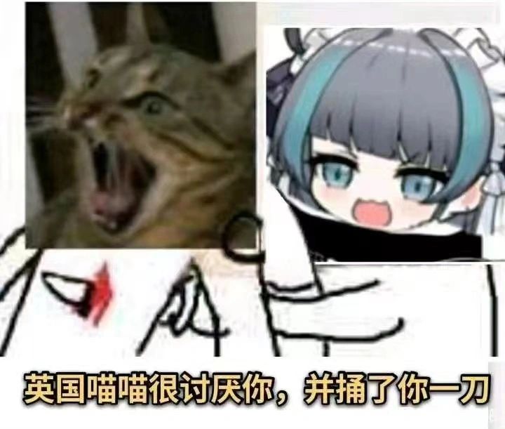 🌟柴郡猫猫表情包分享第三期🌟 3