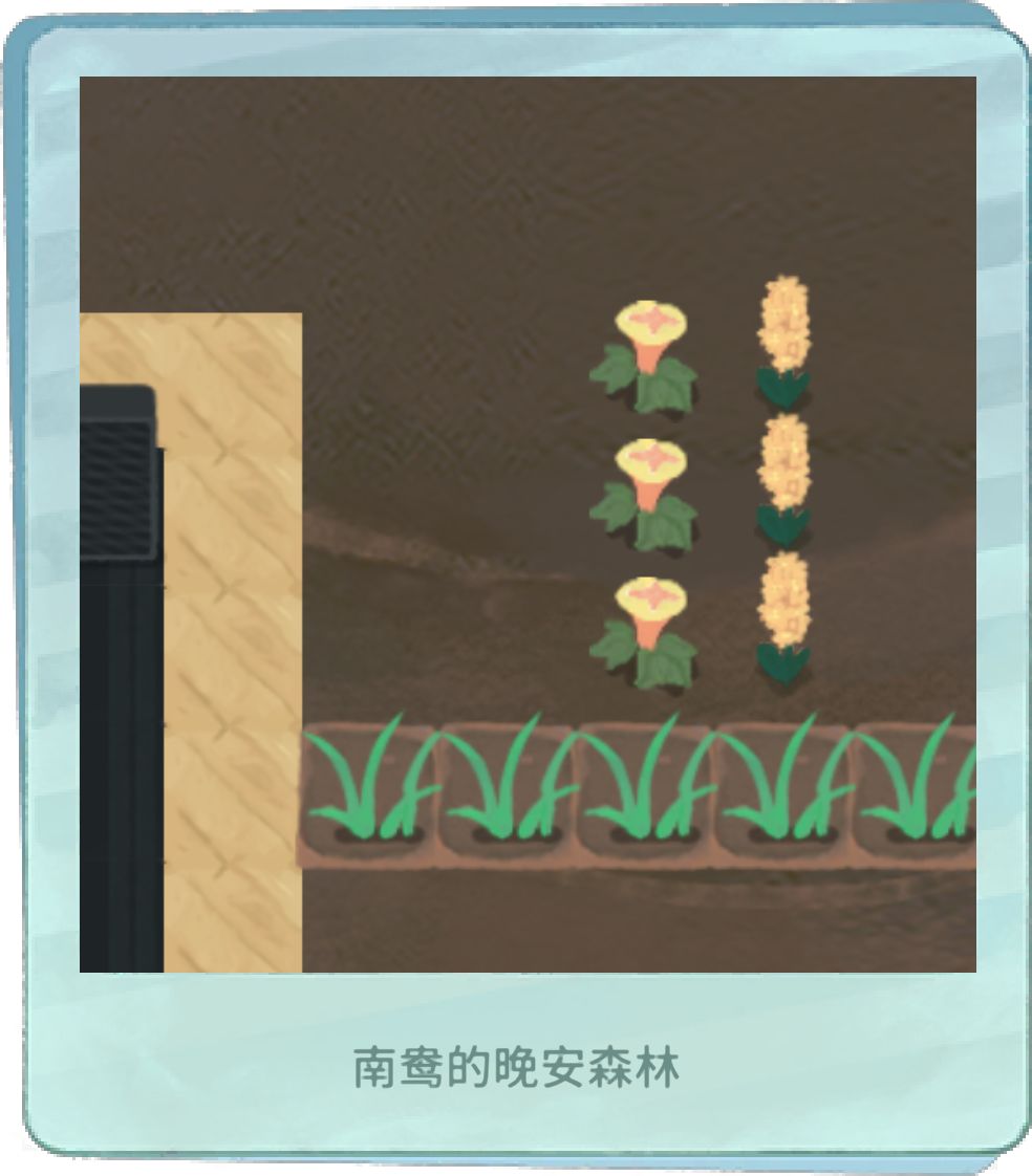 雨人两天没见它起床了 2