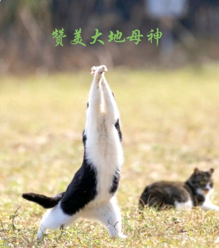 现在的传功肯定有问题。截图