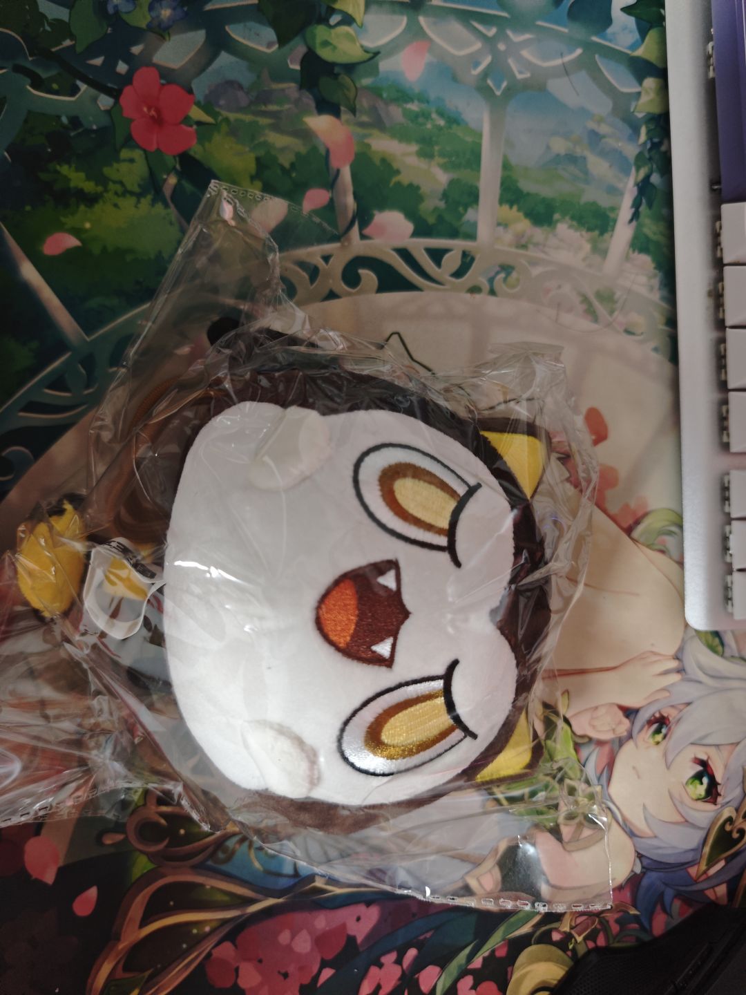 恶魔叮的已经有了,二选一 2