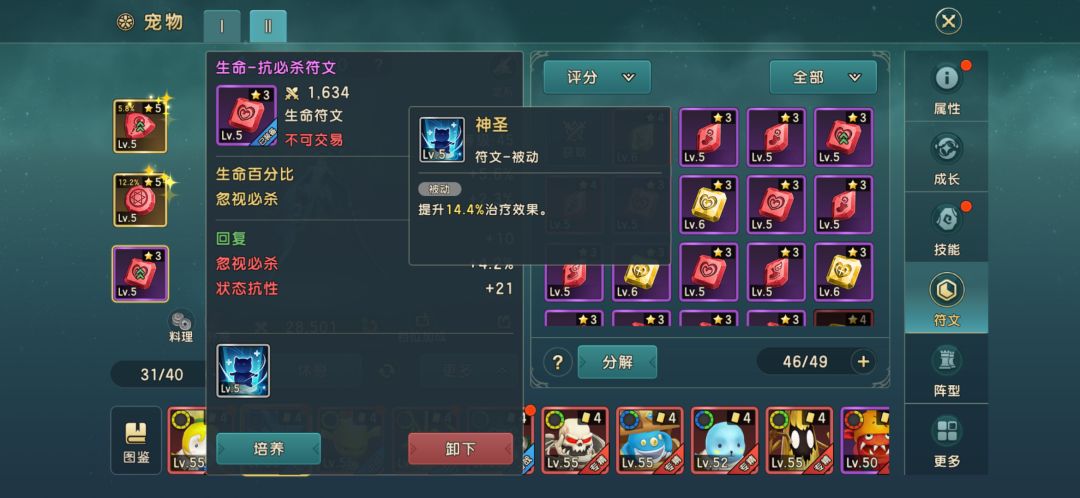 浅谈宠物治疗 3