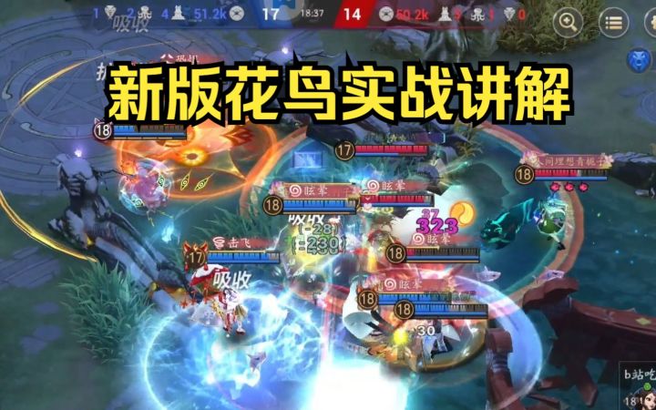 T0中单,比肩十六谷!新版花鸟卷实战讲解【决战平安京】截图