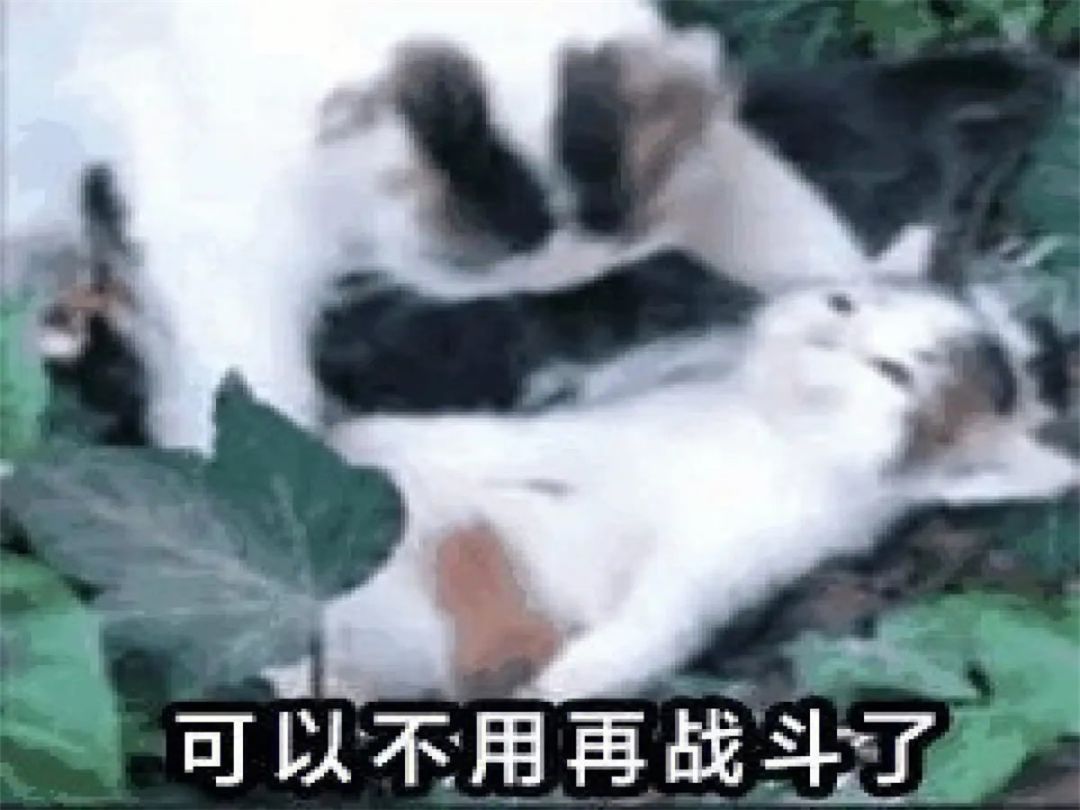 Bug反馈 1