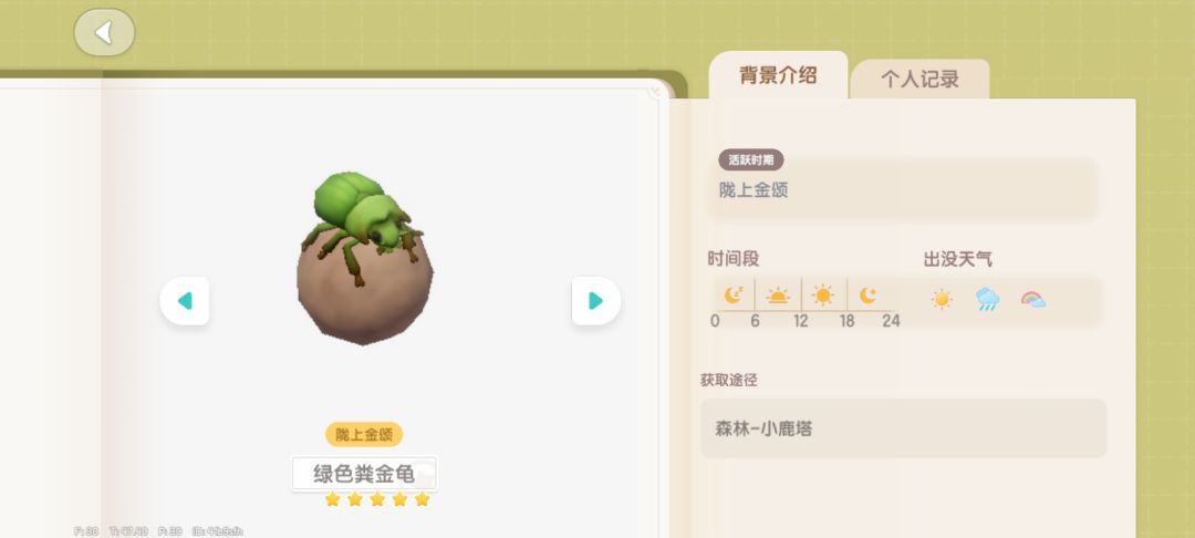 粪金龟位置＋事件概述 4