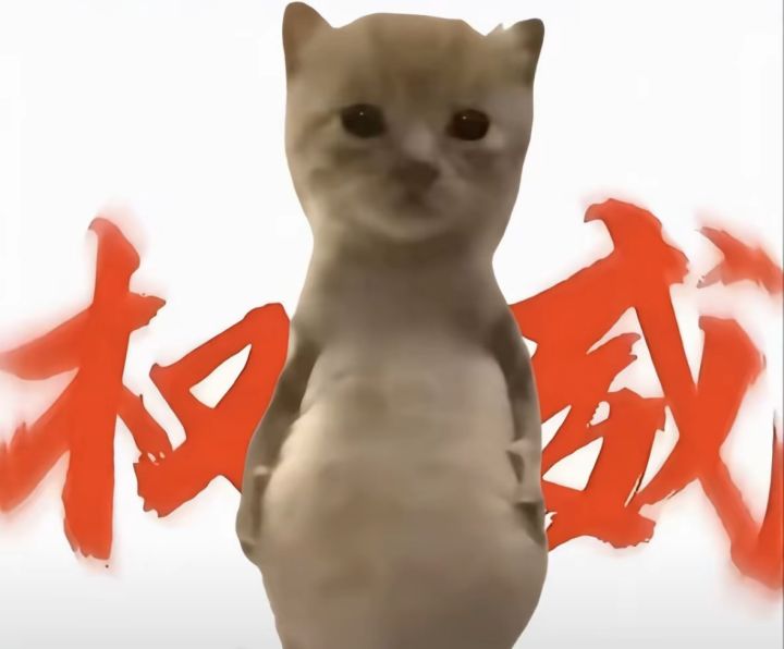 猫猫饼汁提醒你截图