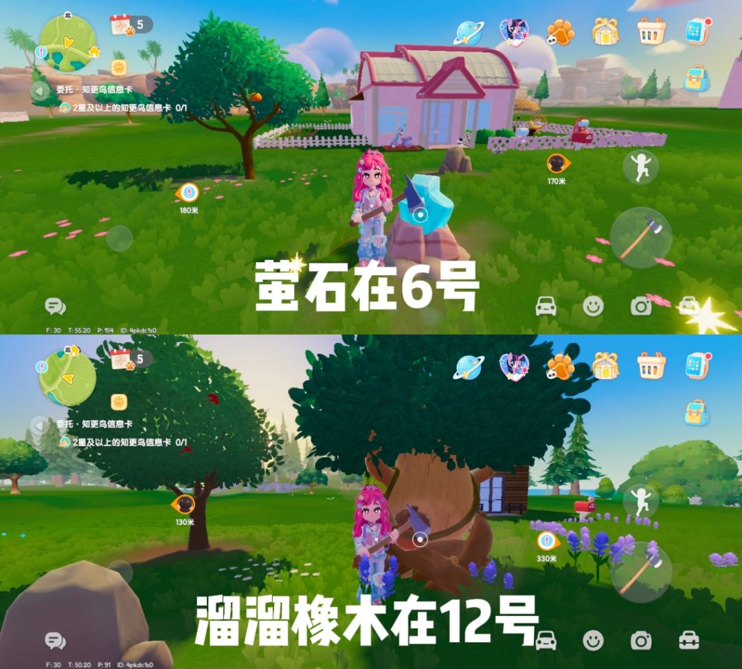 8月14日溜溜橡木和萤石 1