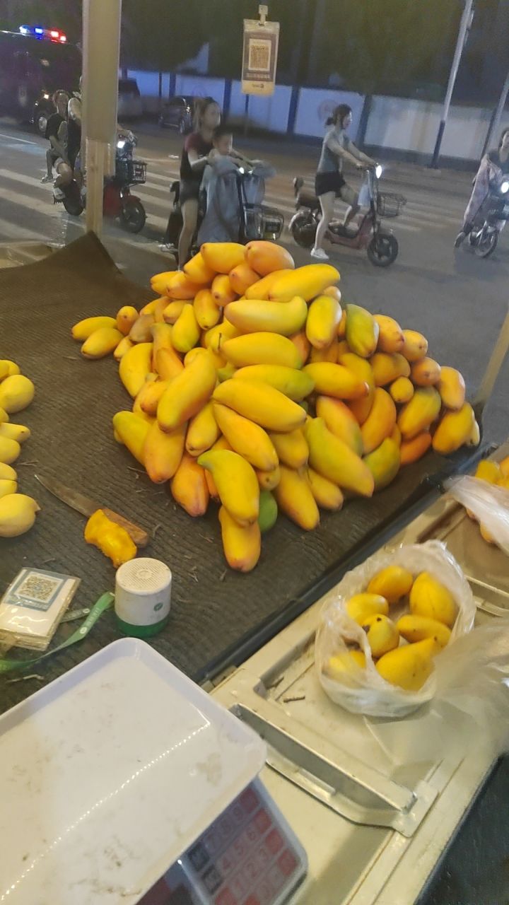 暑期生活分享第四天截图