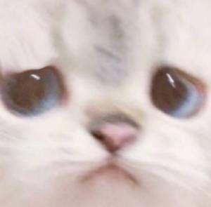 暗地回档截图