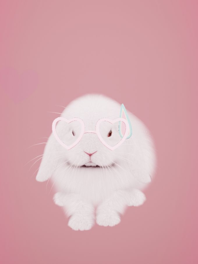 我的赛博兔₍ᐢ •͈ ༝ •͈ ᐢ₎♡ 2