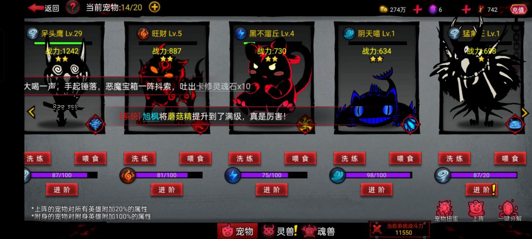 除了红宠要养,剩下的金宠要养谁 2