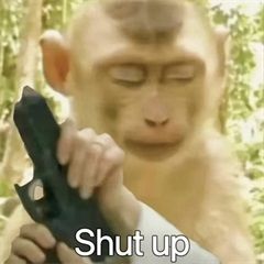 哈哈哈哈哈,最后那个是经典 2