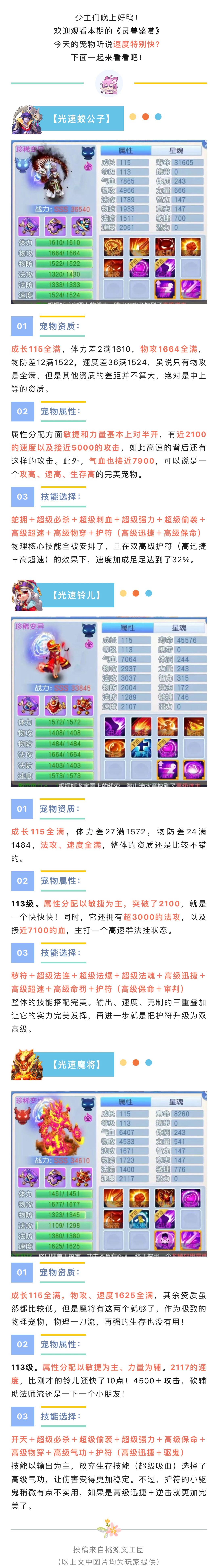 灵兽鉴赏|天下武功为快不破,光速宠物重新定义何为“快” 1