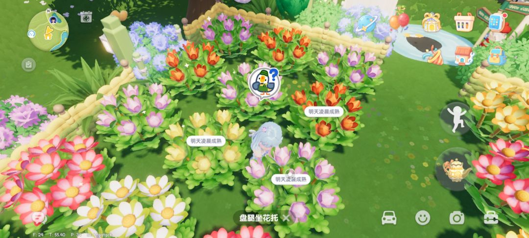 花朵成熟问题 2