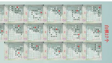 萌新入门攻略，可以少走弯路，快人一步