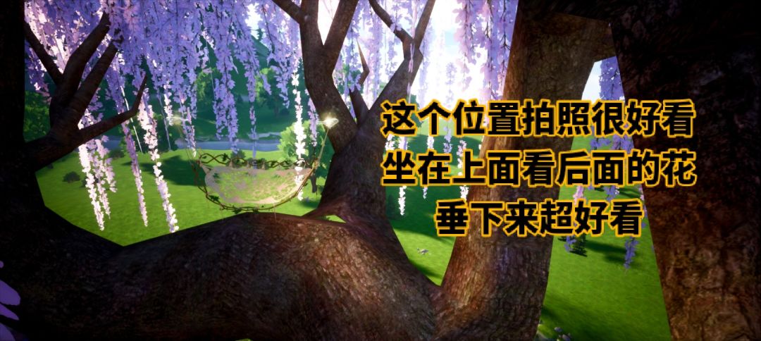 树顶+吊床=新的拍照点 1