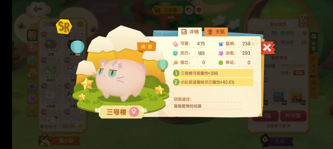 生猫记录 1