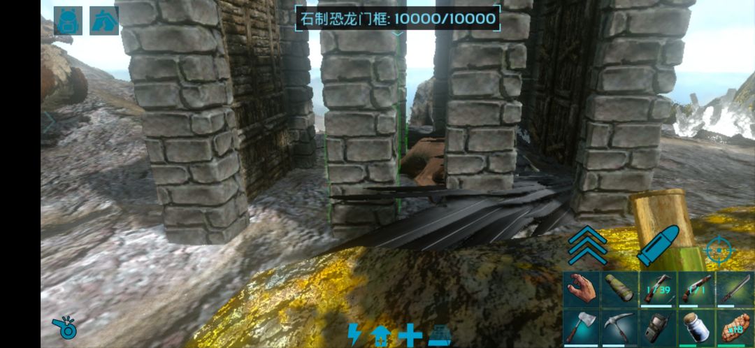 动态图片 1
