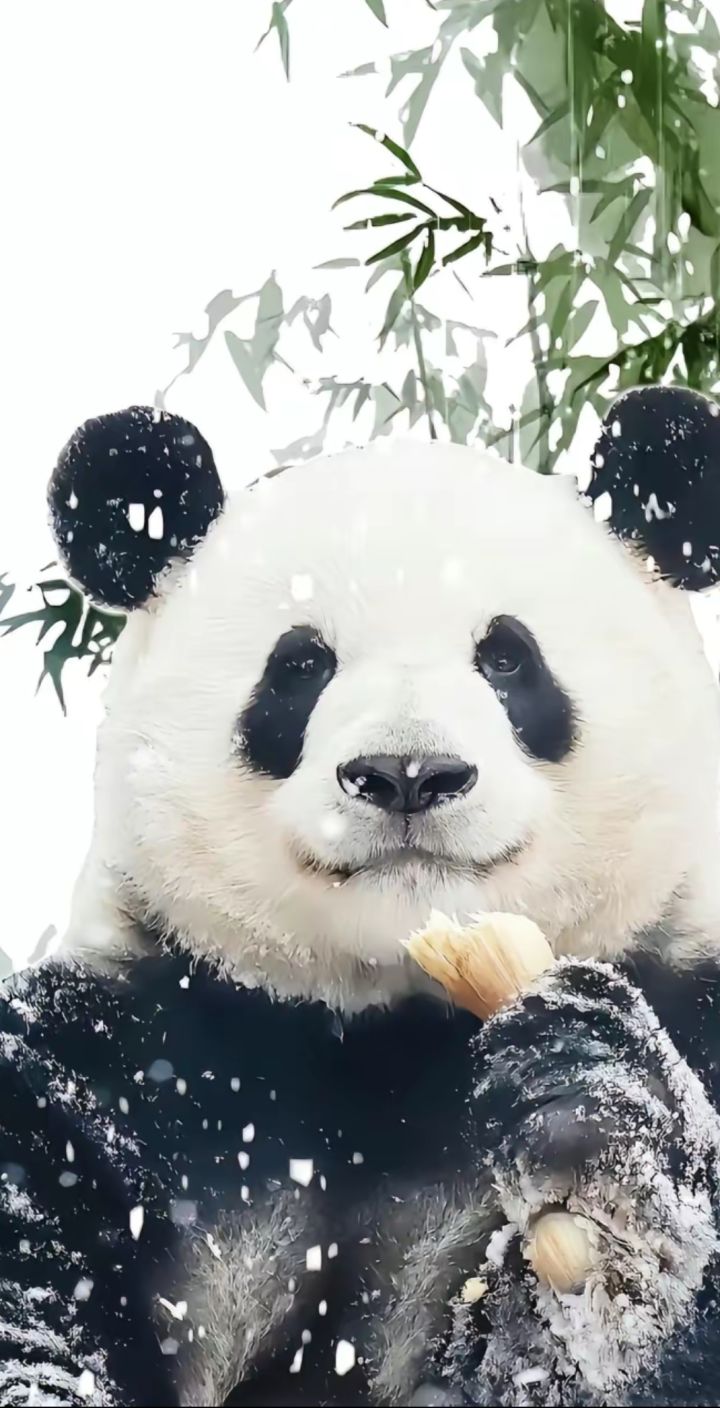 新人提问截图