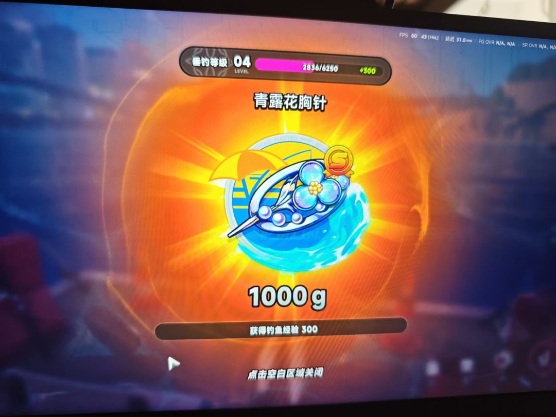 鱼?鱼? 1
