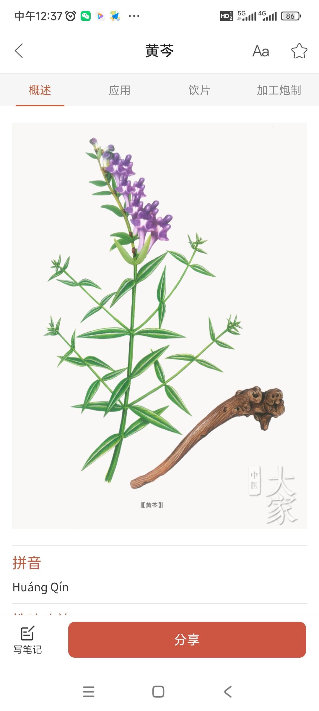 幽默黄岑 2