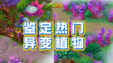 【全新大冒险】探索开启！鉴定热门异变植物
