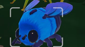 wiki计划总站 捕虫页面