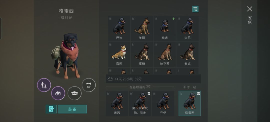 搞不懂所谓的序列,一年多养了大概三百条狗 1