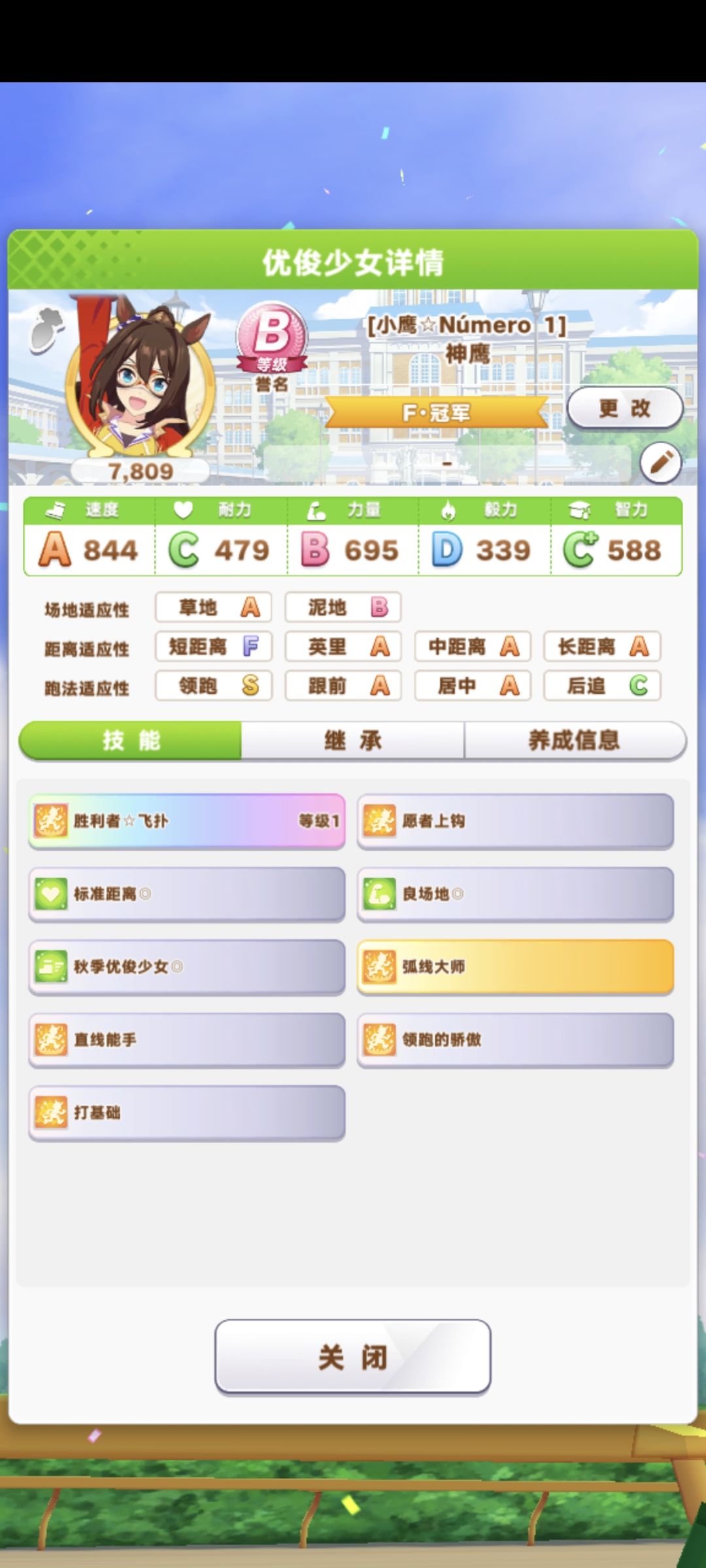 大赛b级马 1
