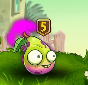 【新版本前瞻】小黄梨五阶爆料