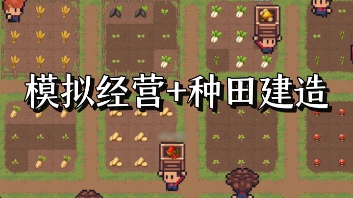 种田党狂喜!在发达家园把日子过成理想样子截图