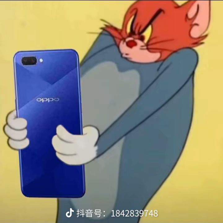 怎么登不上了截图