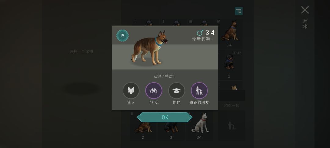 第一只朋友狗🐶 1
