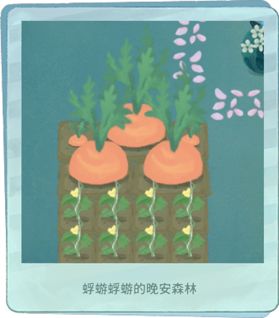 我的晚安森林 1