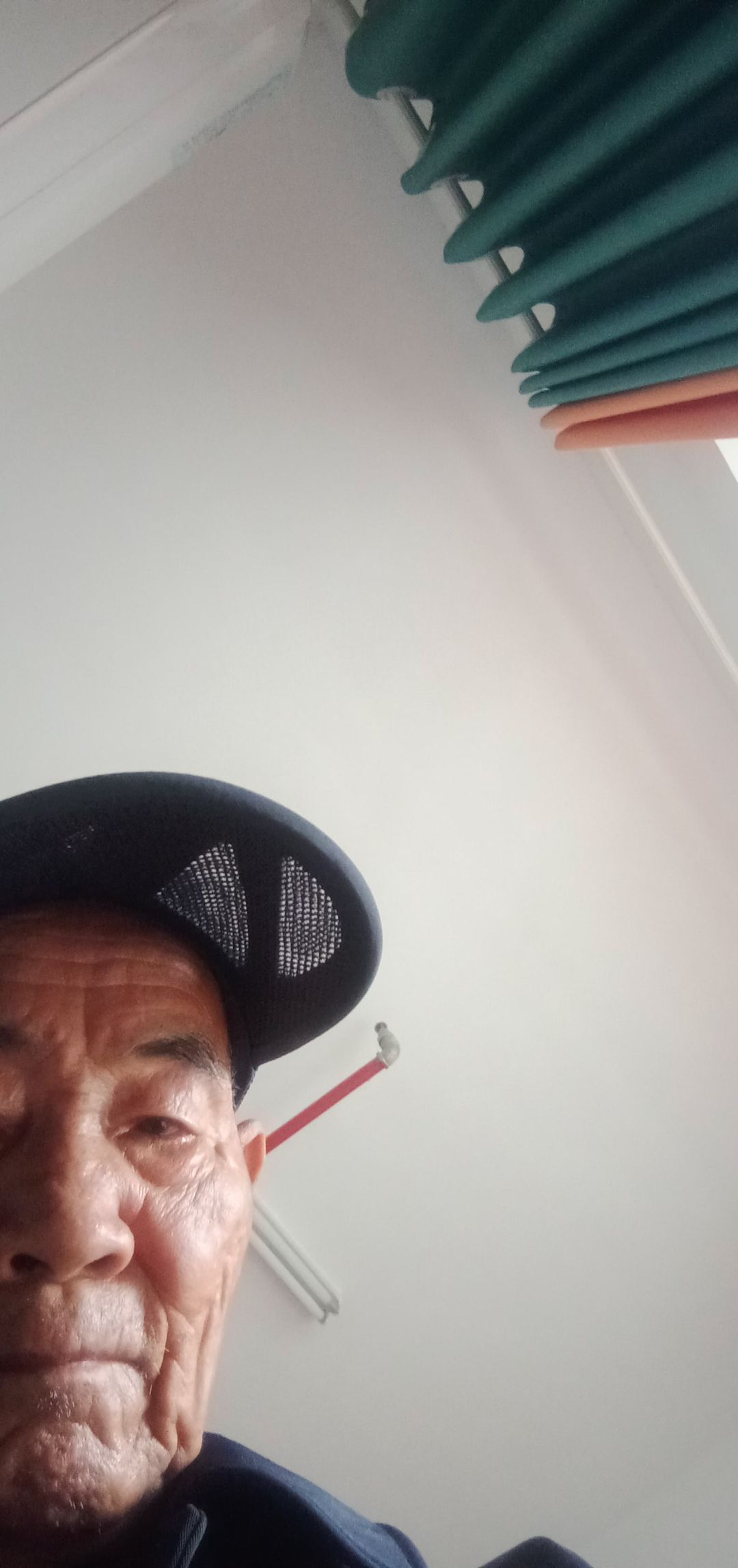 动态图片 10