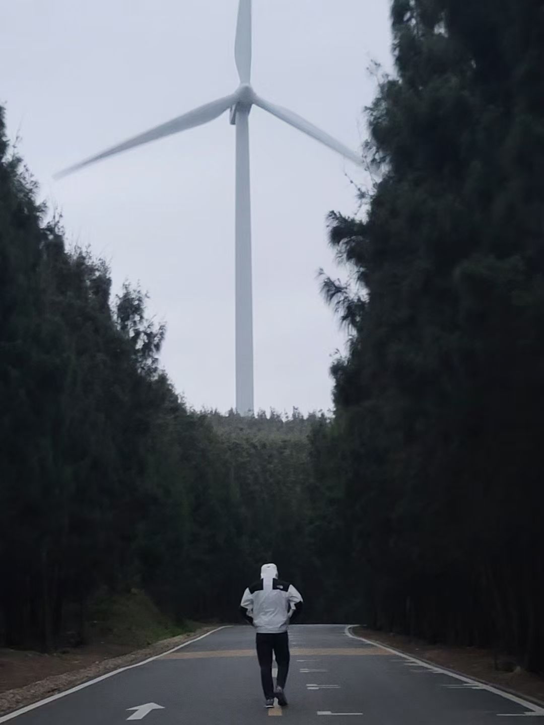 山山海海 1