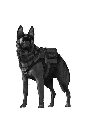 关于生存点获取优化投票，第一期