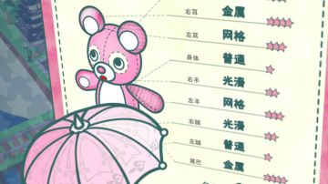 漂亮🐻🐻纪念册