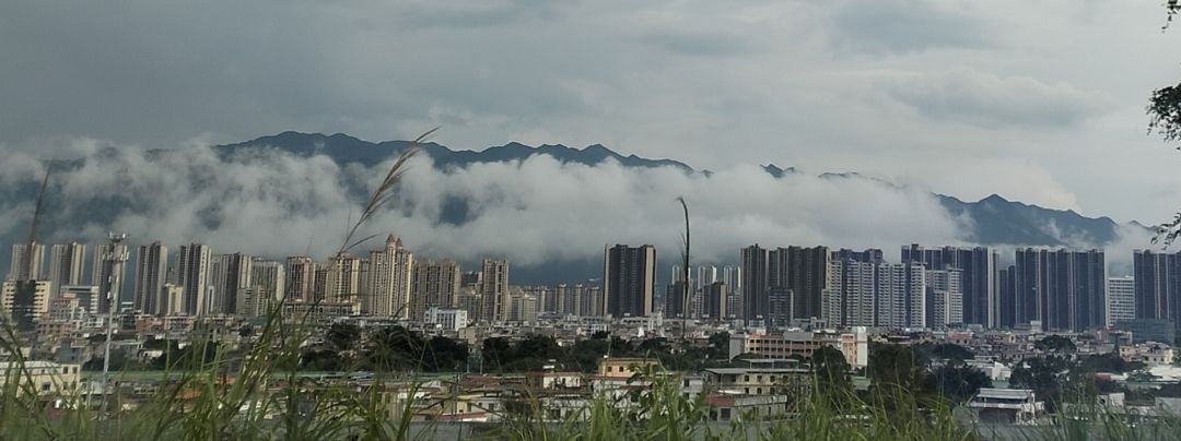去肇庆旅游时拍的,遇见好风景 1