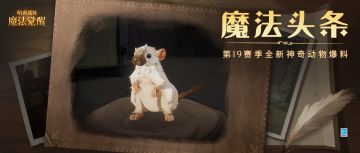 魔法头条丨是“老鼠”，还是“茶杯”？