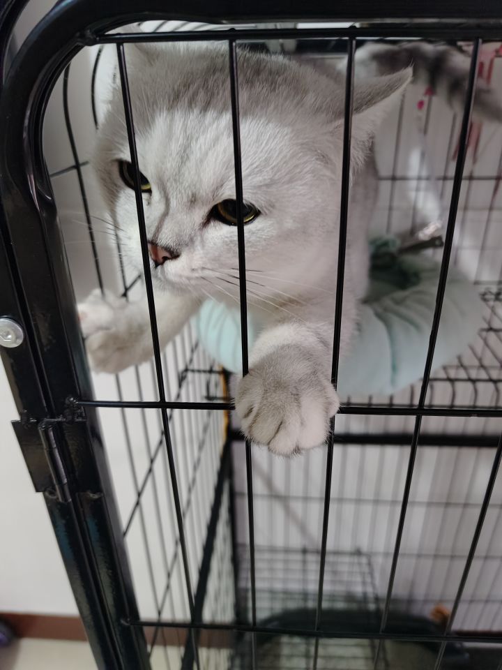 有没有0号身高截图