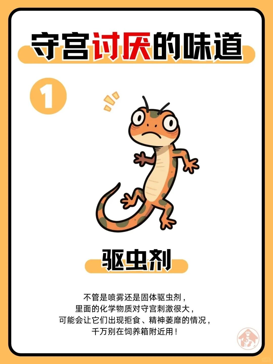 新手必看!守宫讨厌的六种味道! 2