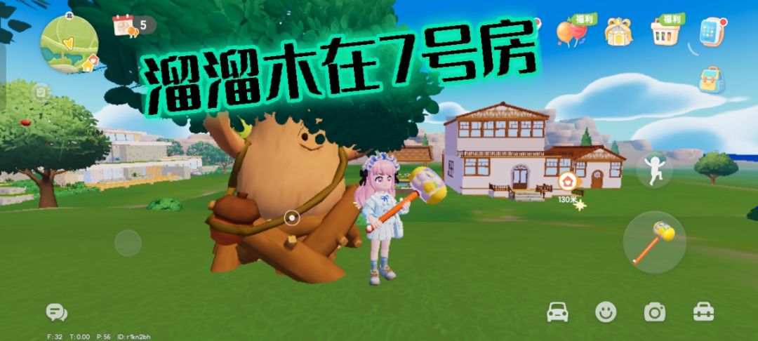 9月7号萤石溜溜木具体位置 2