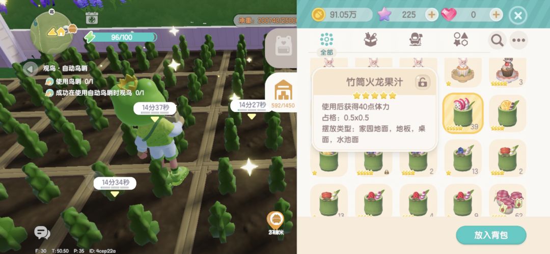 你见过五星火龙果吗? 2