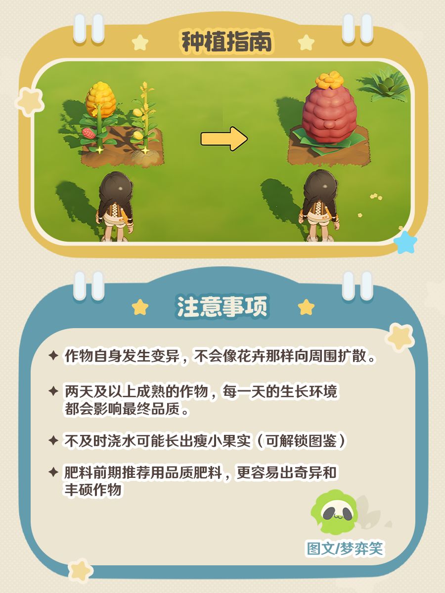 【星布谷地种植指南】从零种出果王 9