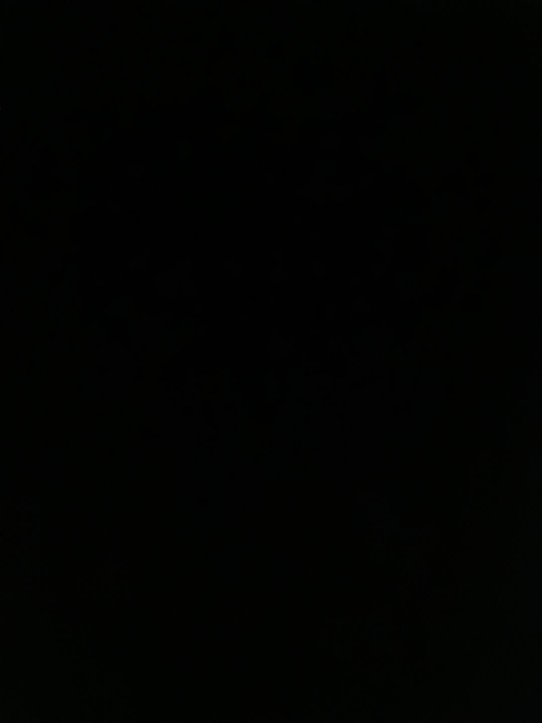 动态图片 6